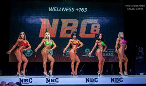 WELLNESS +163